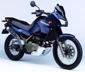 2006 Kawasaki KLE 500 photo